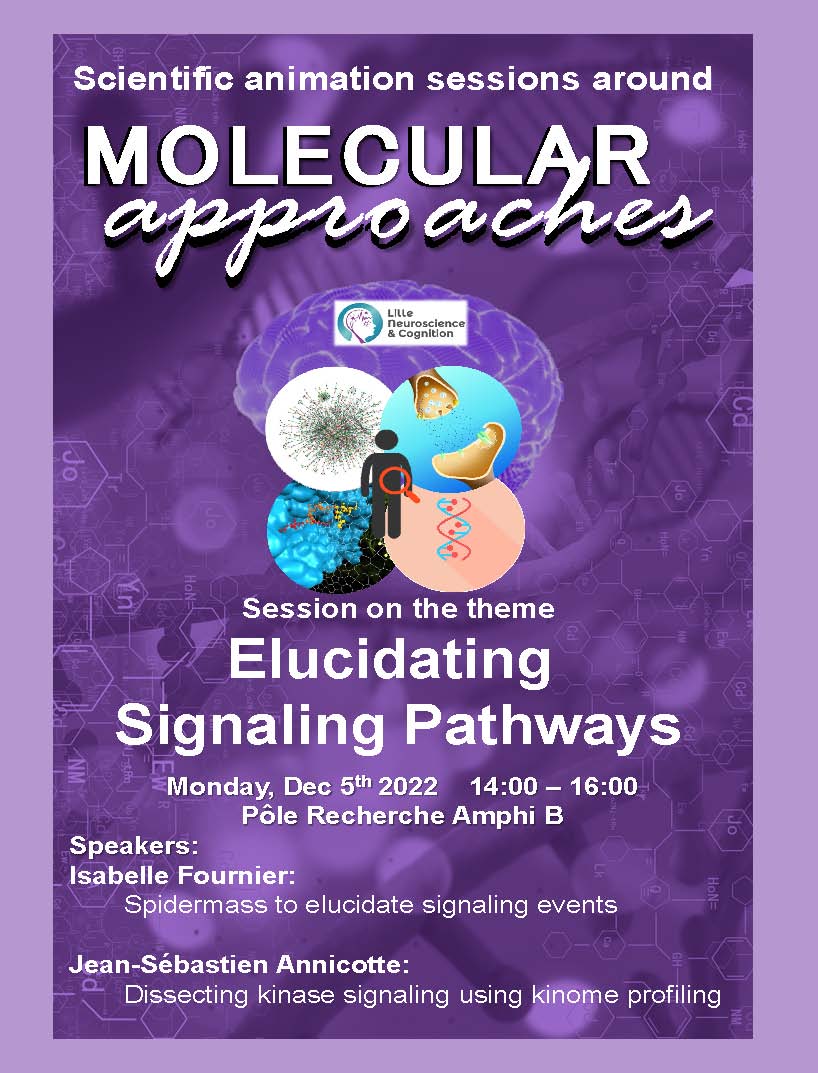 Affiche pour la journnée thématique Molecular approaches-221205